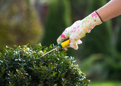 Person using a screen reader while viewing accessible Landscaping Neasden content