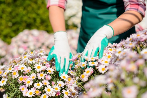 Confident Landscaping Neasden payment security with encrypted processing