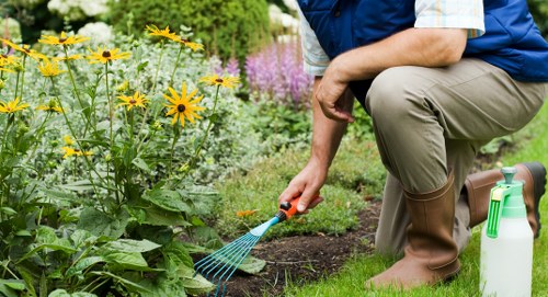 Neasden property garden improvement with planting and mulch finishing