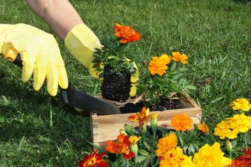 Free quote policy for Landscaping Neasden services