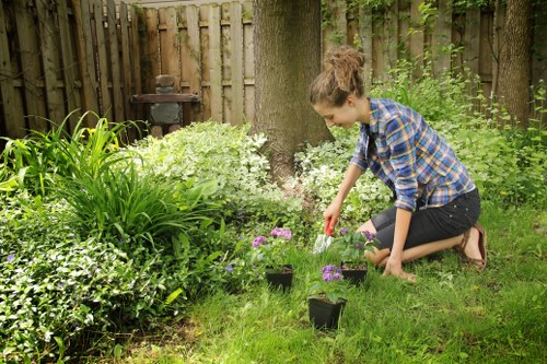 Charity donation of reusable garden materials from a Neasden project