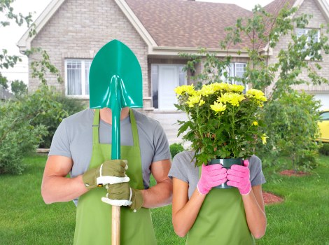 Site assessment during a landscaping issue