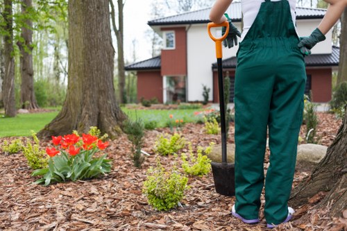 Final resolution of a landscaping complaint