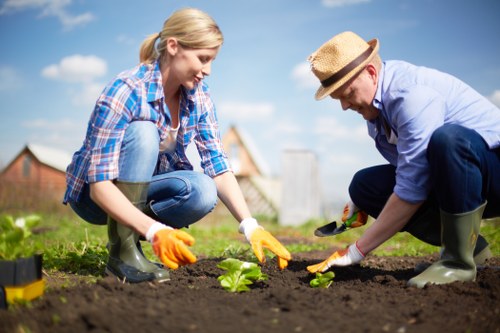 Professional turf installation process in Neasden