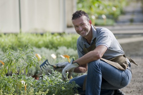 Local garden layout and landscaping work in Neasden